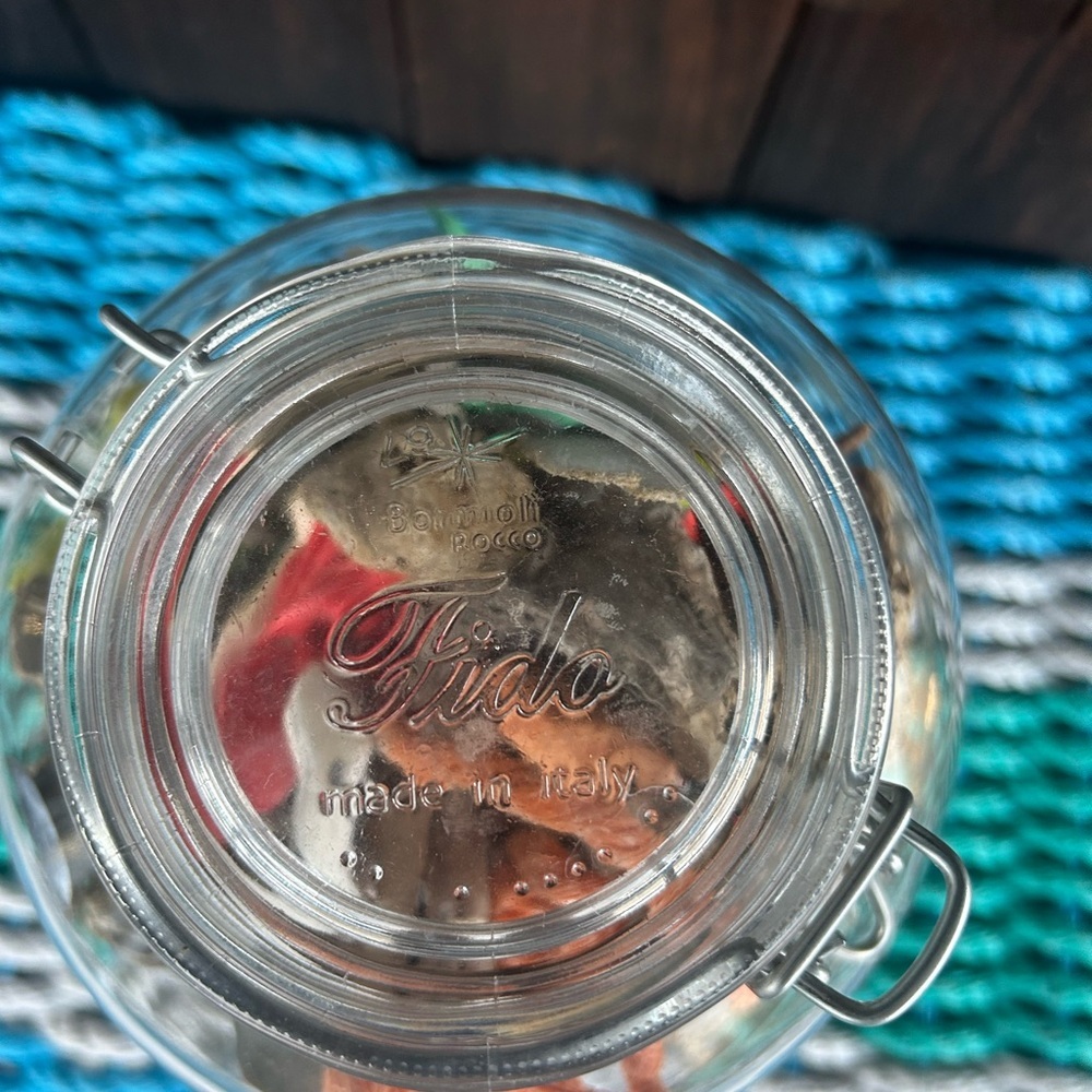 Large Italian Glass Jar Filled with Montauk Beach Finds. Driftwood, buoy pieces - Picture 8 of 11